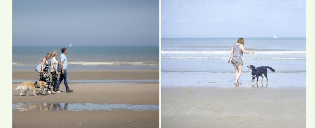 Strandchalet Бреден Екстер'єр фото