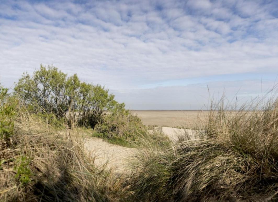 Strandchalet Бреден Екстер'єр фото